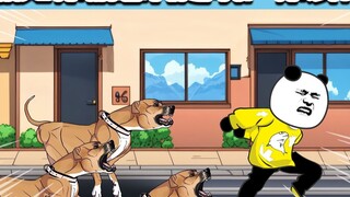 If you are chased by a vicious dog, what should you do?