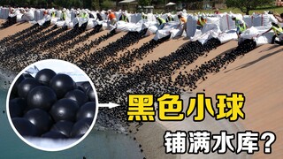 What are those little black balls? Why is the US dumping 96 million plastic balls into reservoirs?