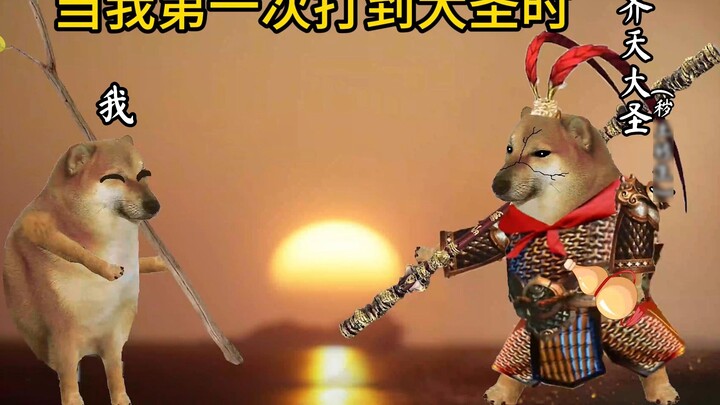 When I first defeated the remains of the Great Saint