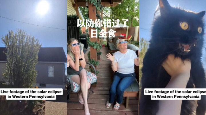 เผื่อคุณพลาดสุริยุปราคาเต็มดวง🤣🤣