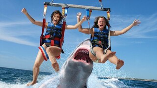 Craziest Shark CLOSE CALLS Caught on Camera!