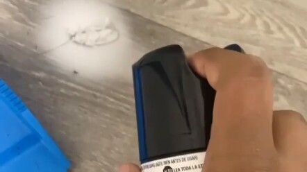 الصرصور: هل تكرهني إلى هذا الحد؟