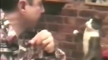 Con mèo của người khiếm thính nhận ra rằng kêu “meo meo” chẳng ích gì, nên đã học cách giao tiếp bằn