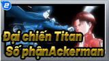 [Đại chiến Titan] Levi/Mikasa--- Số phận Ackerman_2