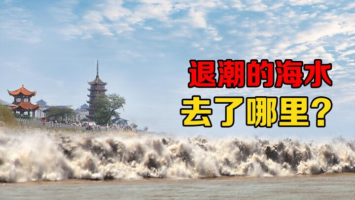 Tại sao thủy triều lại lên xuống? Sau khi thủy triều rút, nước biển đi đâu hết?