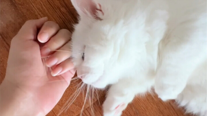 อ๊ากกก!! เธอเก่งมาก!! ใครเข้าใจบ้าง! ใครเข้าใจบ้าง!