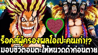 วันพีช - ทฤษฎีร็อคส์ผู้ครองผลโอเปะคนเก่า !? ให้พลังมอบชีวิตอมตะกับหนวดดำก่อนตาย!?
