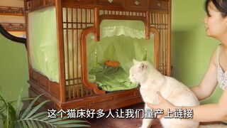 世界真是一个草台班子，有笑话大家一起看