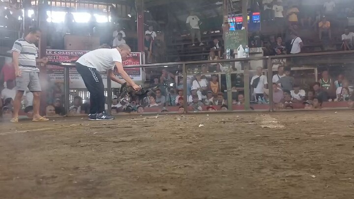 pang tinola lang daw manok ko😝😝