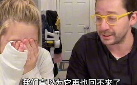 فجأةً تعود قطة المنزل إلى الحياة! هل هو انعدام الإنسانية أم انحدار أخلاق القطط؟