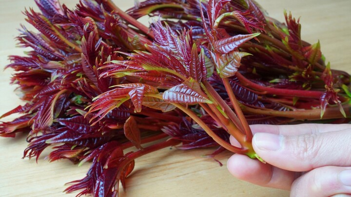 Apakah telur dadar dengan daun semanggi perlu direbus sebentar terlebih dahulu? Banyak orang salah! 