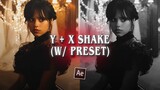 y + x shake ; after effects (w/ presets)