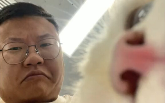 给你们看看我老闺女小呆，你们要是也喜欢小呆，我就也更新点她的视频……