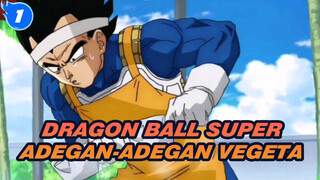 Apa Kamu Pernah Melihat... Vegeta Begitu Peduli Seperti Ini?_1
