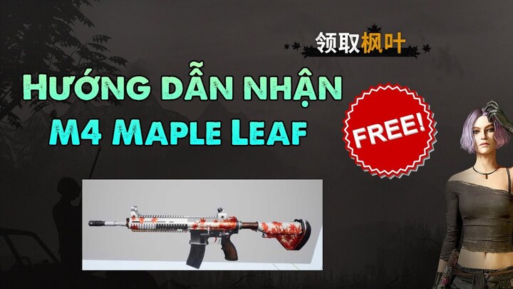 How to get Skin M416 Maple Leaf Free | Hoàng Giang nè