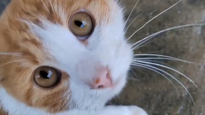 咪：咪的天，人你旁边怎么没有雨