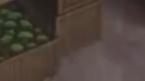rainan