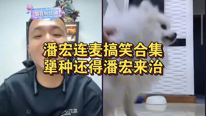 Pan Hong’s hilarious co-stream compilation: when it comes to stubborn troublemakers, only Pan Hong c
