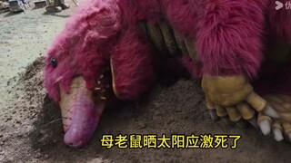 想和尸体交配的本能太感人了！奥美迦你到底在拍什么？？？
