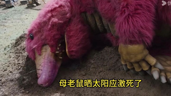 想和尸体交配的本能太感人了！奥美迦你到底在拍什么？？？