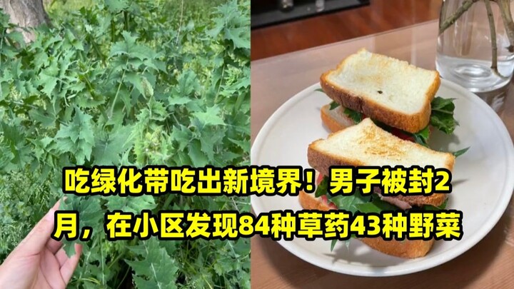 Eating from the green belt takes on a whole new level! A man, confined for two months, discovered 84