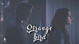 Alina & The Darkling - Strange Bird