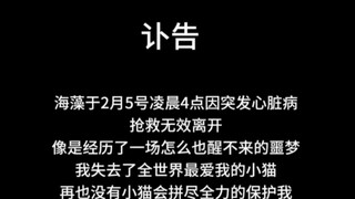 Sayangku, ibu akan selalu mencintaimu.