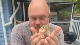A foreign uncle encountered a chipmunk trapped only by a rubber band, successfully rescued it with f