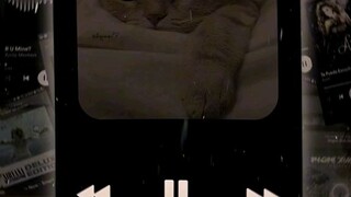 Lagu Angin Rindu
