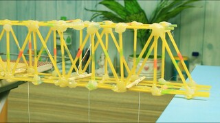 Thí Nghiệm Tải Trọng Với Cầu Làm Từ Mì Spaghetti