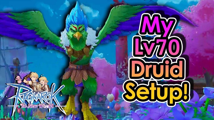 [RONW] My Level 70 Wereraptor Druid Build – Full Setup Explained! | King Spade
