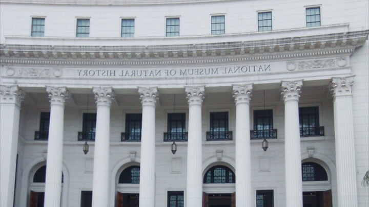Visiting National Museum Of Natural History - Philippines