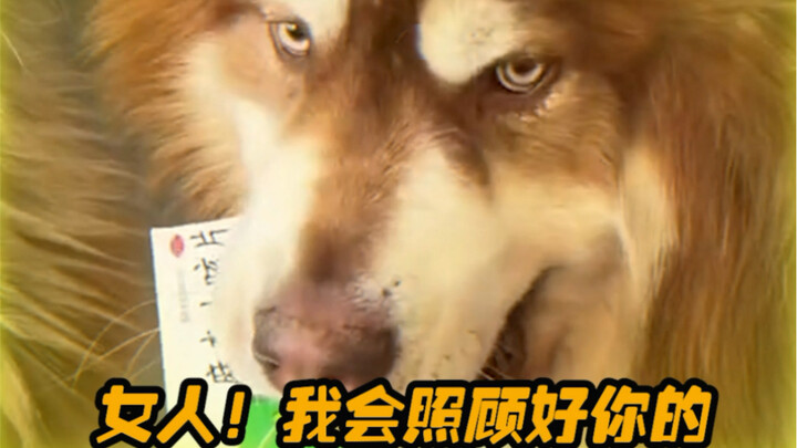 Anjing saya lebih dewasa dan berbakti daripada saya.