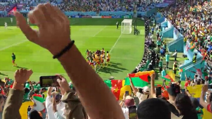 2022 年足球世界杯 - 喀麦隆 塞尔维亚 3-3 让·查尔斯·卡斯特莱托进球 球迷反应