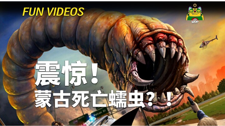 ตะลึง! ปั่นจักรยานบังเอิญเจอหนอนมรณะมองโกล!