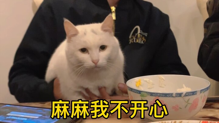 แมวของฉันชอบฉันมากแค่ไหนกันแน่