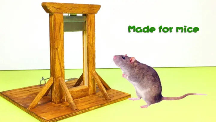 Sharp guillotine for painless rodent eradication!