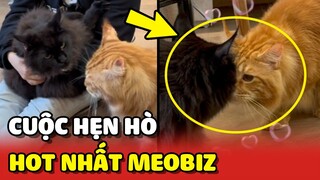 Diễn biến cuộc HẸN HÒ của cặp đôi hot nhất Meobiz 😍 | Yêu Lu