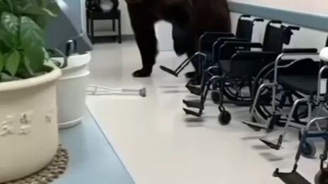 Cara Sembuh Instan