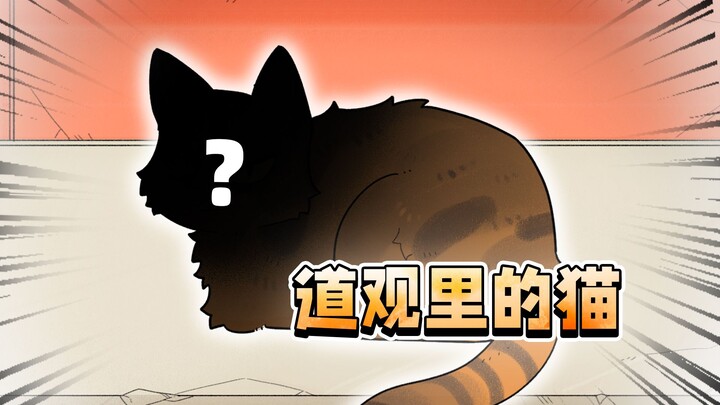 道观猫猫遇险，道士集体暴走：孽畜看打！