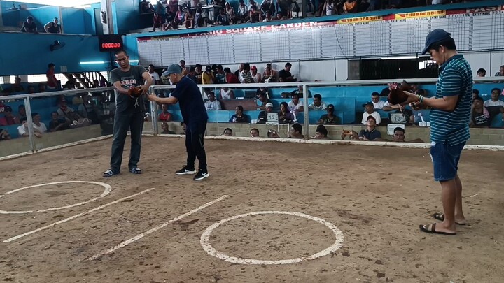 Pasig square 3rd fight lose