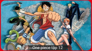 One Piece Tập 12 - Đấu Với Thủy Thủ Băng Kuro! Cuộc Chiến Trên Đồi Dốc!