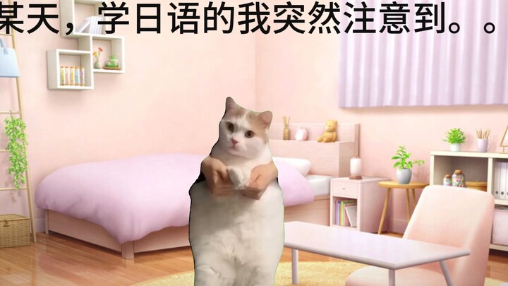 【猫meme】关于我的名字把日本人给吓到这件事