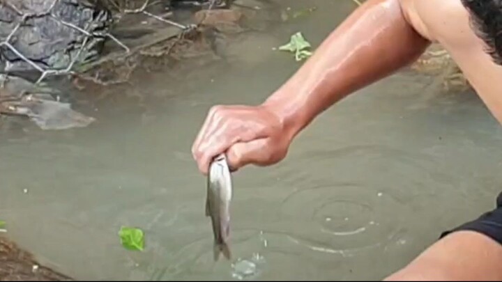 duwali fishing in Nepal |