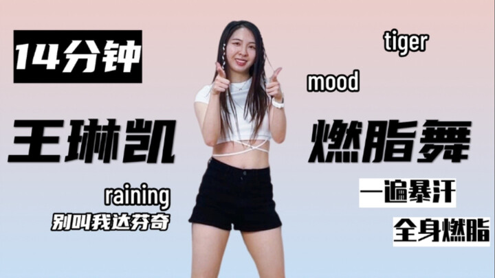14分钟小鬼王琳凯燃脂舞，hippop风格一遍暴汗｜mood别叫我达芬奇tiger和raining