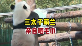 Pangeran Ketiga Xizhimen Menglan selesai memakan rebung dan mengeringkan handuknya sendiri