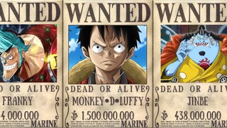 Straw Hat Pirates Bounty Evolution