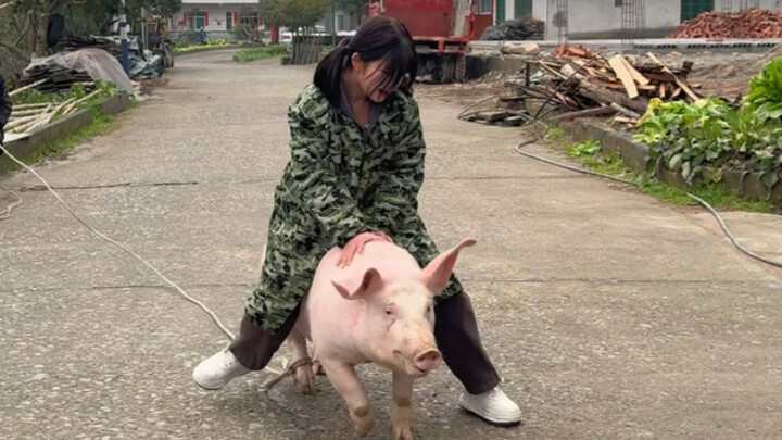 Have you all had your reunion dinner yet?