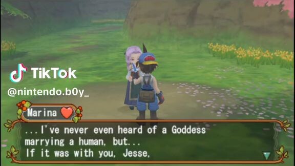 Harvest moon Hero Of Leaf Valley Menikahi Harvest Goddess