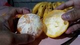 An Easy Way To Peel An Orange